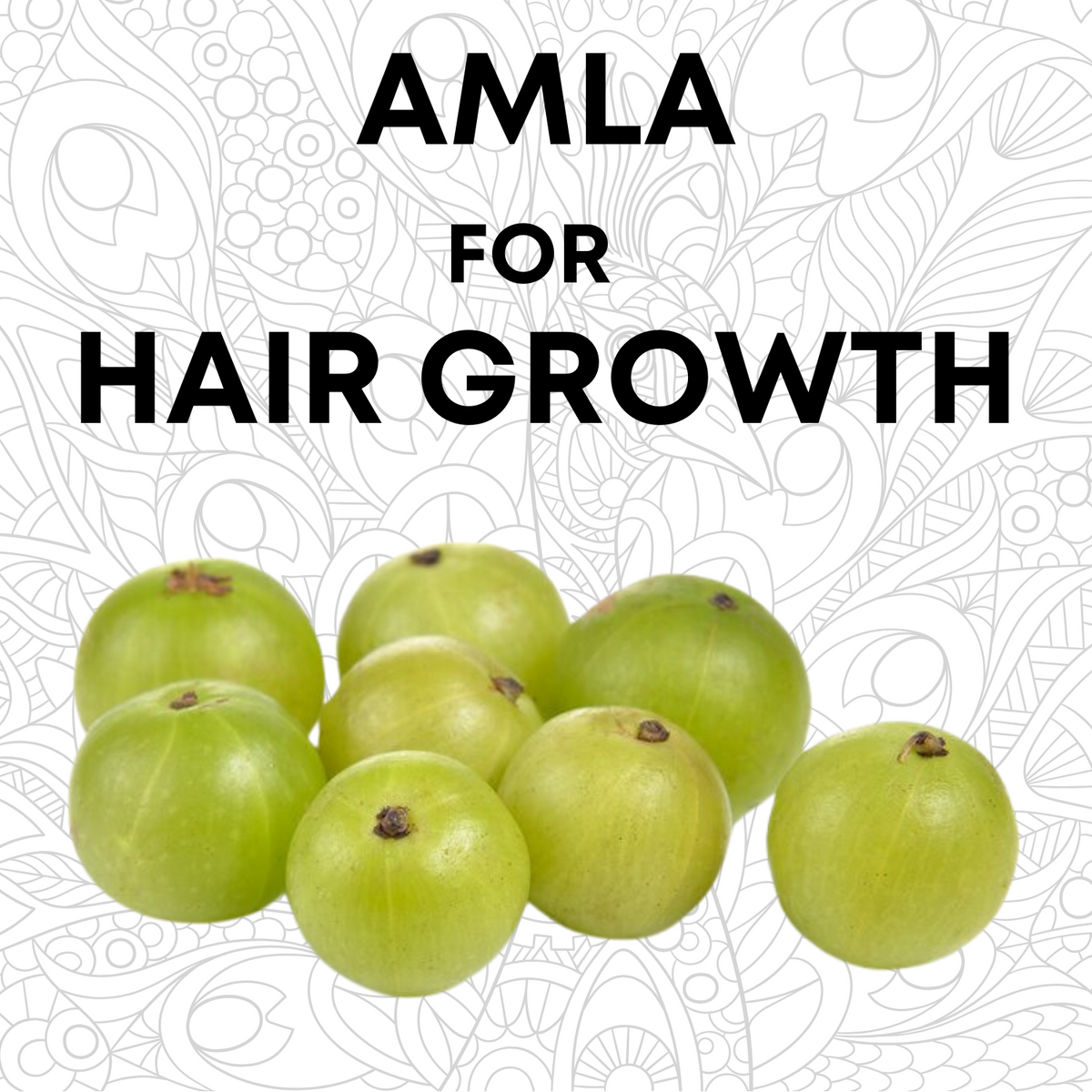 Amla Powder for Hair Growth (100g)