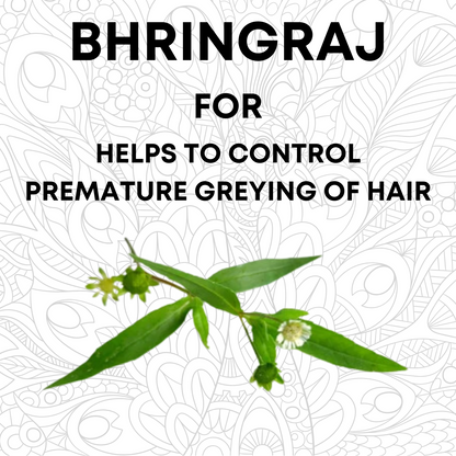 Bhringraj Powder for Hair Growth
