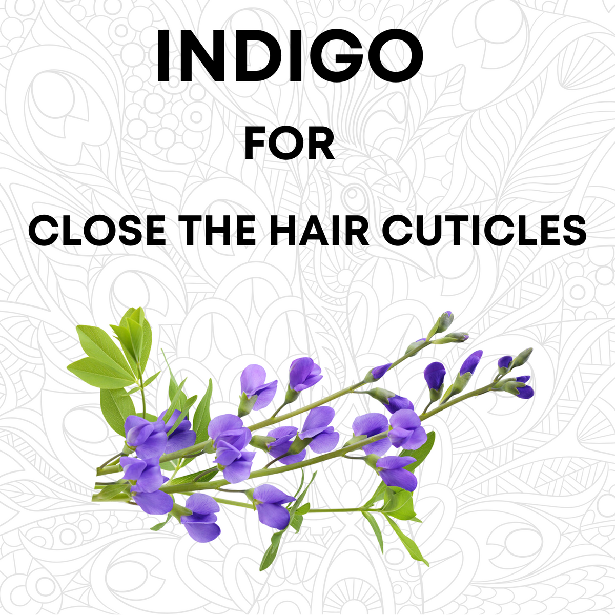 Natural Indigo Powder (227g)